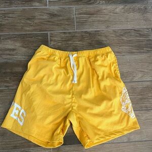 Darc Sport Yellow Men's mesh Shorts